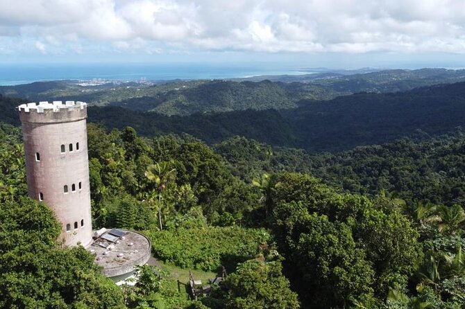 The El Yunque Rainforest Hike With Transport From San Juan Included In The Tour