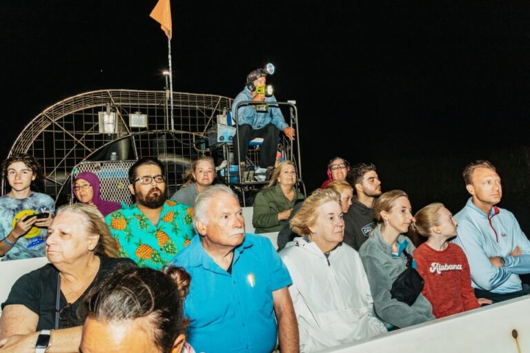 The Everglades: 1 Hour Airboat Night Tour Tour Overview