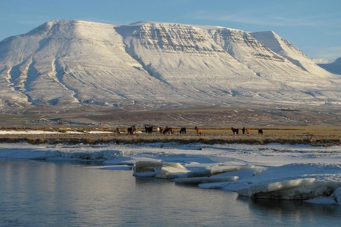 The Viking Horse Riding Experience in North Iceland - Overview of the Experience