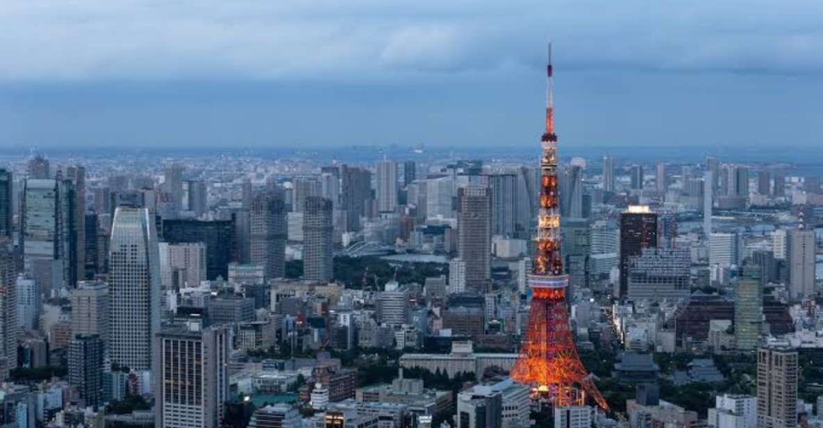 Tokyo: 1 Day Private Customisable City Tour by Car and Van - Tour Overview