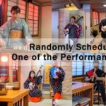 Tokyo: Dinner Cruise With Shamisen & Tokyo Tower Dance Show Overview Of The Experience