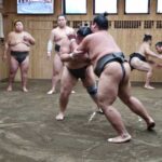 Tokyo: Grand Sumo Morning Training Tour Review Tour Overview