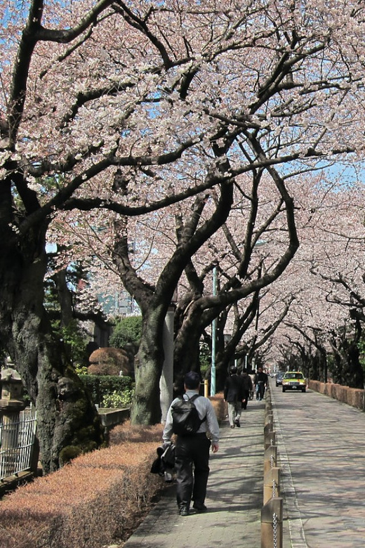 Tokyo in a Day a Self-Guided Audio Walk in English - Downloading the Tour