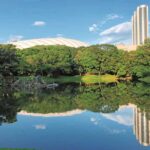 Tokyo: Koishikawa Korakuen Gardens And Baseball Game Tour Tour Overview