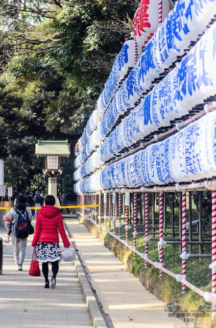 Tokyo: Meiji Jingu, Harajuku, Shibuya Tour Review