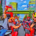 Tokyo: Original Street Kart Experience From Akihabara Overview And Experience