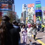 Tokyo: Personalized Private 6 Hour Tour Tour Overview