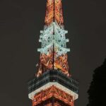 Tokyo: Private Tokyo Tower And Night Food Tour Review Tour Overview