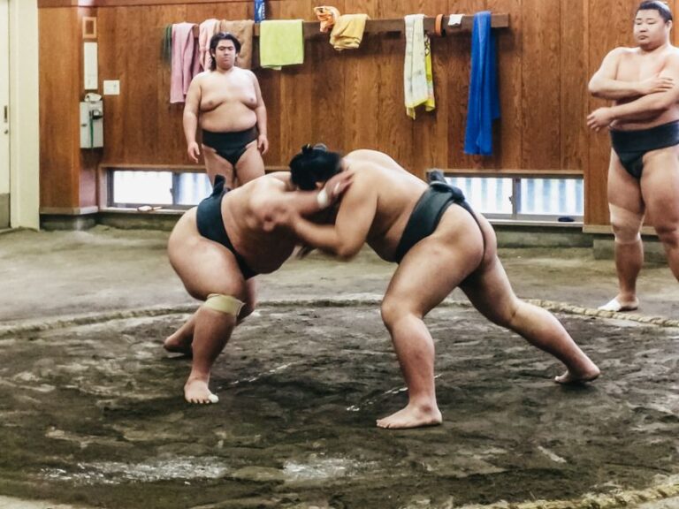 Tokyo: Sumo Morning Training Visit Activity Overview