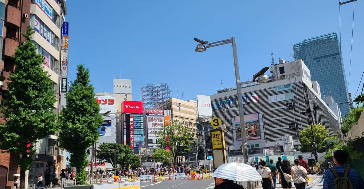 Tokyo Tour From a Resident Perspective - Tour Duration and Price