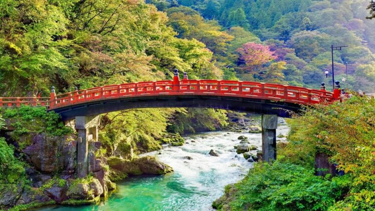 Tokyo:nikko Private Sightseeing Tour English Speaking Driver Tour Overview