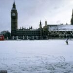 Tour Of London And Christmas Day Lunch Cruise Activity Overview