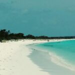 Tour To Saona Island Activities