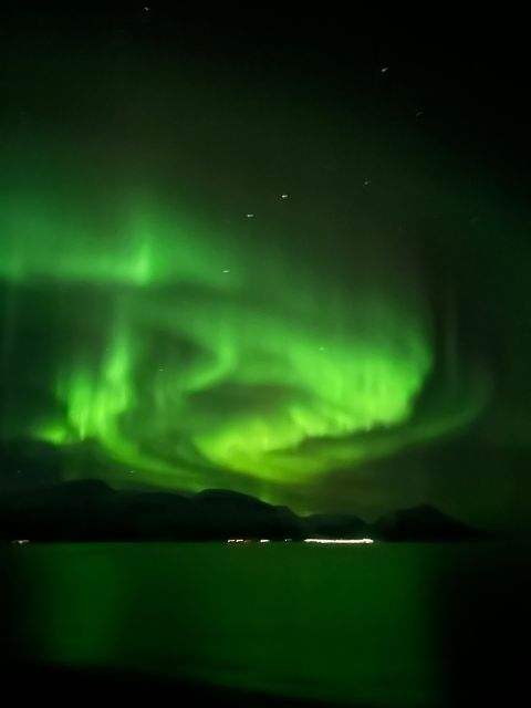 Tromsø: Lyngen Horseback Winter Evening Riding Experience - Overview of the Experience