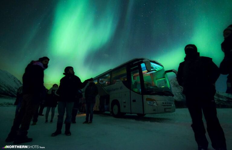 Tromso: Northern Lights Photography Bus Tour Overview Of The Tour