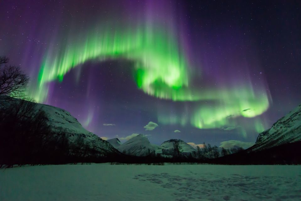 Tromsø: Small Group Aurora Hunt Tour With Citizen Science - Tour Overview