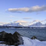 Tromsø: Wildlife Bird Fjord Cruise With Lunch And Drinks Tour Description