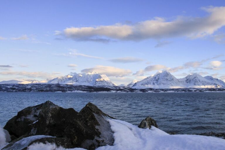 Tromsø: Wildlife Bird Fjord Cruise With Lunch And Drinks Tour Description