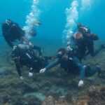 Try Dive For Beginners Overview Of Try Dive Experience