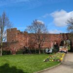 Uncover Evolution's Path: In App Audio Tour Of Shrewsbury Shrewsbury Castle: Sandstone Sentinel