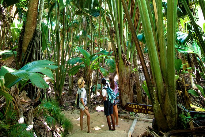 Vallee De Mai Tour (from Praslin) Tour Overview