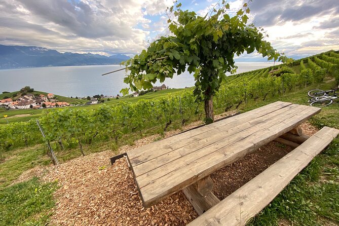 Vine Stories: Lavaux & Lutry Wine Walk Centuries Of Winemaking History