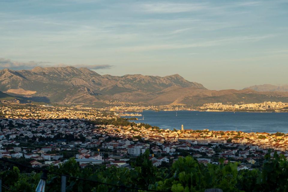 Vineyard Experience: Wine Tasting Near Split - Overview and Pricing