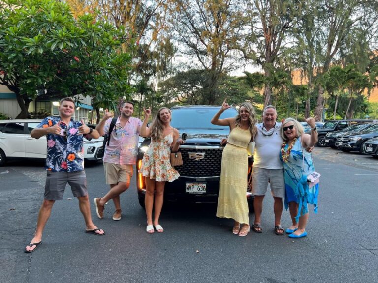 Vip Transfer Between Waikiki & Honolulu Airport, /vice Versa Service Overview