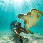 Visit The Ocean Swings! Full Day Harbour Island Private Boat Tour Inclusions