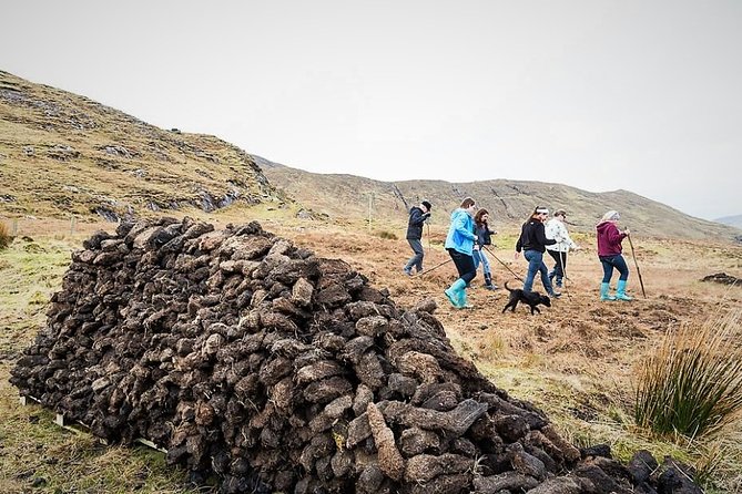 Visit Traditional Working Sheep Farm & Sheepdog Demo. Galway. Guided. 1 ½ Hours. - Inclusion in the Tour Experience