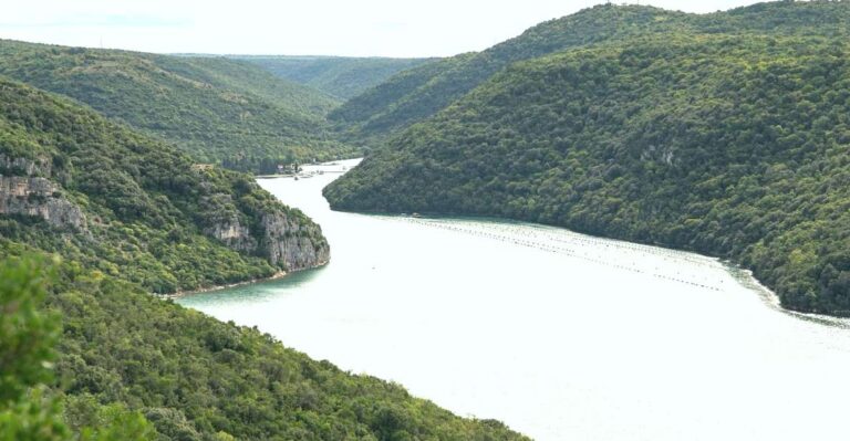 Vrsar: Lim Fjord Boat Tour With Swimming Near Pirates Cave Location And Duration