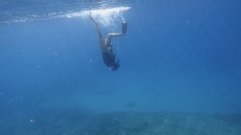 Waikiki: Honolulu Beginner Snorkeling Tour With Videos Tour Overview