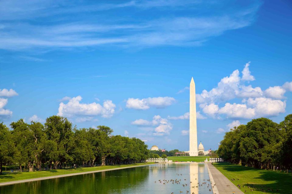 Washington DC National Mall Exploration Game - Captivating Journey Through DC