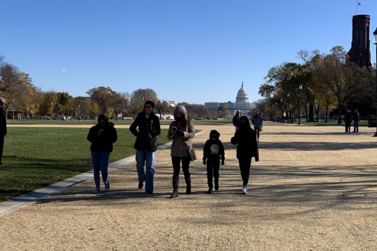 Washington Dc: Walking Tour And African American Museum Tour Overview And Pricing