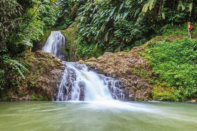 Waterfalls Adventure Hikes in St. Georges, Grenada - Overview and Highlights