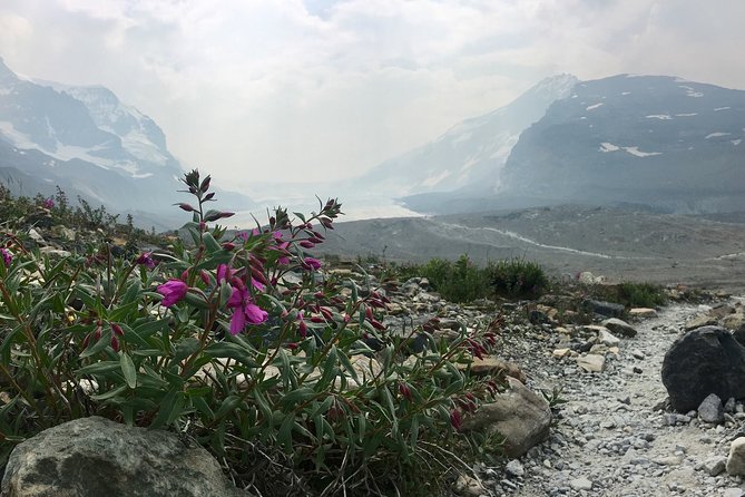 Wilcox Pass Meeting And Pickup