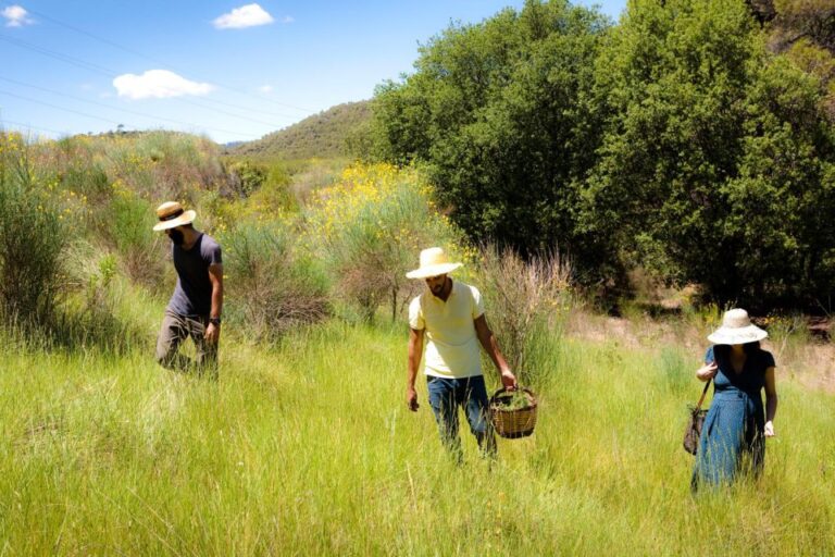 Wild Walk: Discover The Local Wild Flora Activity Overview