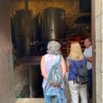 Wine And Tapas, Experience Real Mallorca Overview Of The Experience