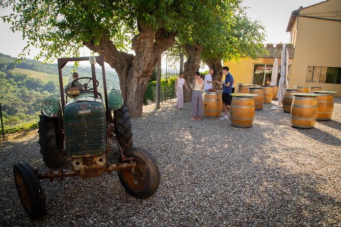 Wine Making Experience and Gourmet Dinner at a Boutique Winery in Tuscany - Overview of the Experience