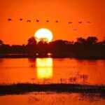 Zambezi River Sunset Cruise Whats Included In The Tour