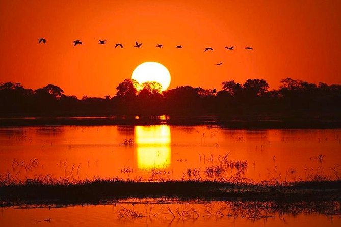 Zambezi River Sunset Cruise - Whats Included in the Tour