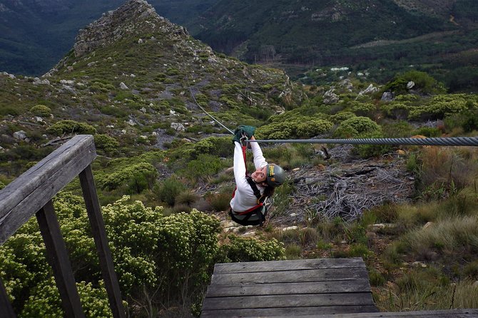 Zipline Cape Town - From Foot of Table Mountain Reserve - Overview of the Zipline Experience