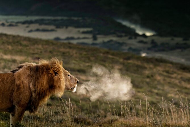 2 Day Addo Elephant Park Safari - Key Points