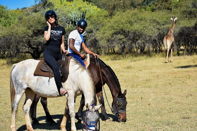 2-Hour Horseback Safari in Hartbeespoort - Key Points