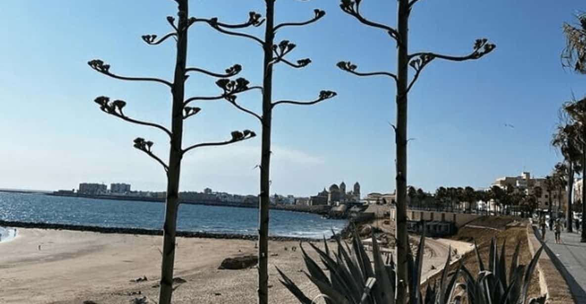 2 Hours Private Historical Tour in Cadiz - Key Points