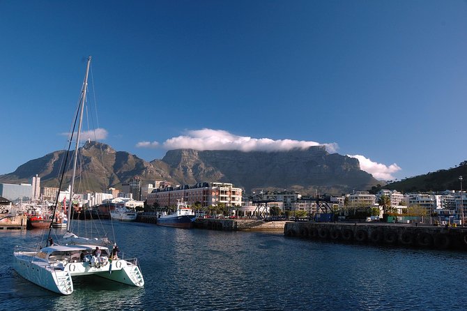 1 Day Explore Cape Town Like a Local With Private Guided Transfer - Colonial-Era Sights and Museums