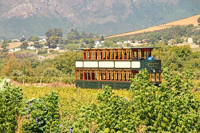 1 Day Taste +Tram the Winelands: Franschhoek, Stellenbosch, Paarl - Cheese and Chocolate Pairing