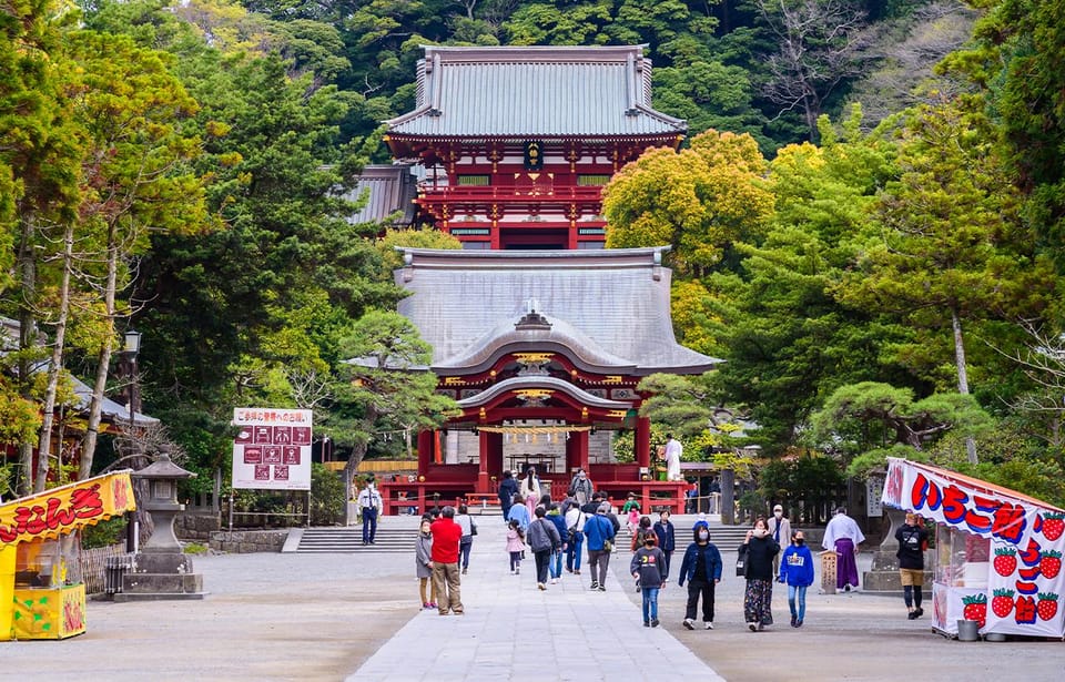 1-Day Tour of Kamakura Buddha, Enoshima, Shrine From Tokyo - Itinerary Highlights