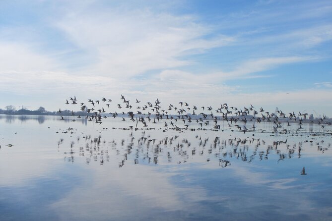 2 Hour Night Kayak Tour in Venice, Premium Experience With Sunset - Paddle Through Marshes and Islets