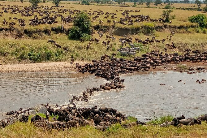 3 Day Private 4x4 Jeep Tour in Masai Mara Safari - Pickup Information